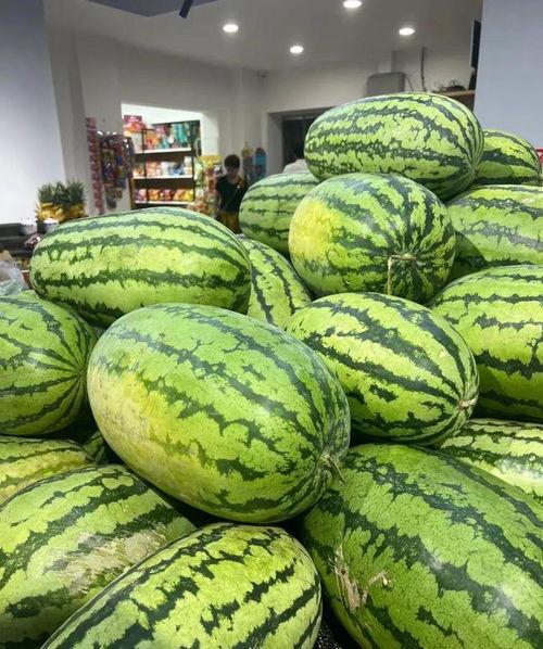 最新吃瓜入口,这场风波背后的真相令人咋舌